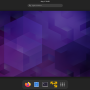 bungard_fp8000_rdp_debian.png