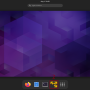 bungard_fp8000_rdp_debian_start_vmware.png